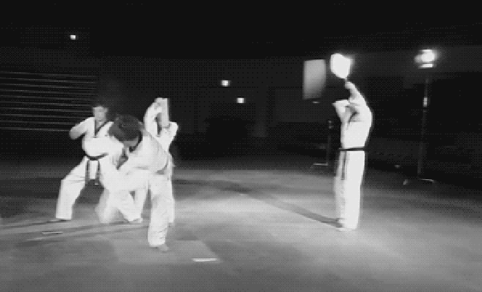 Martial art like a boss