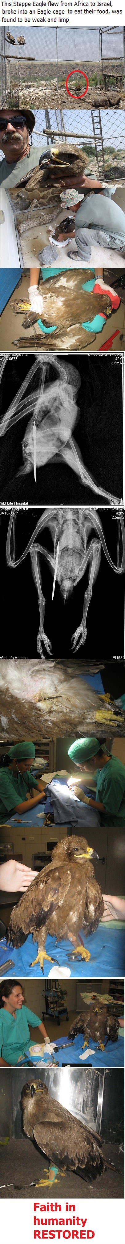 Faith in humanity restored