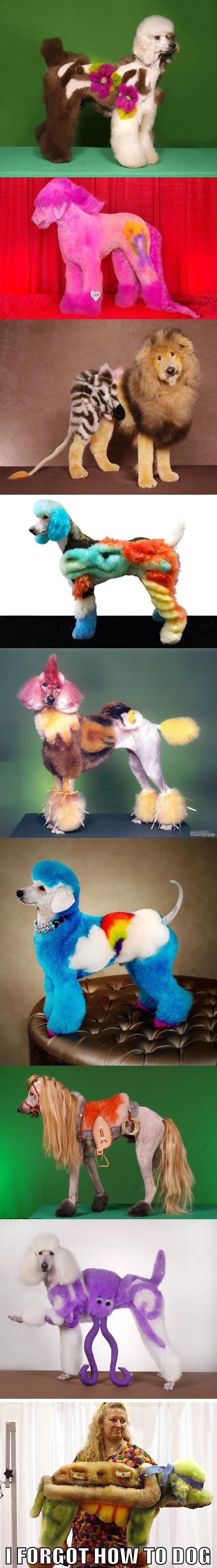 I feel sorry for them