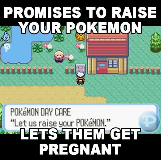 Pok Day Care