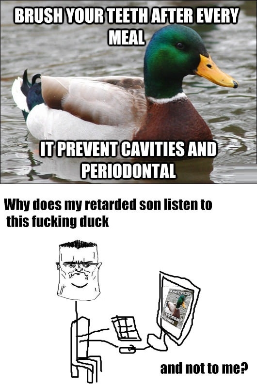 Trust me, I'm a mallard