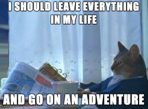 After watching The Hobbit