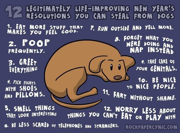 My new years resolution