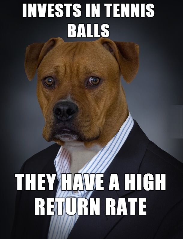 Business Dog