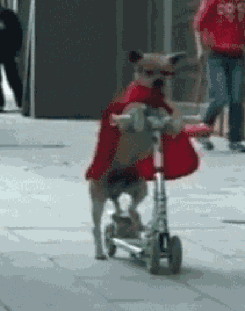 The hero that we deserve