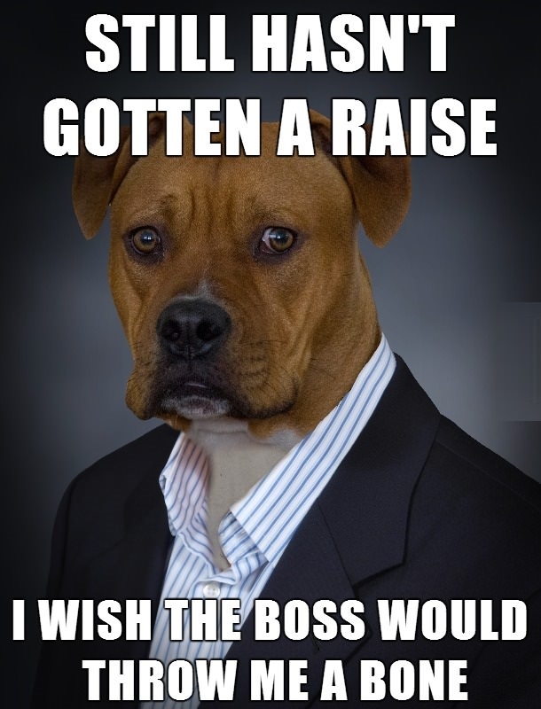 Business Dog