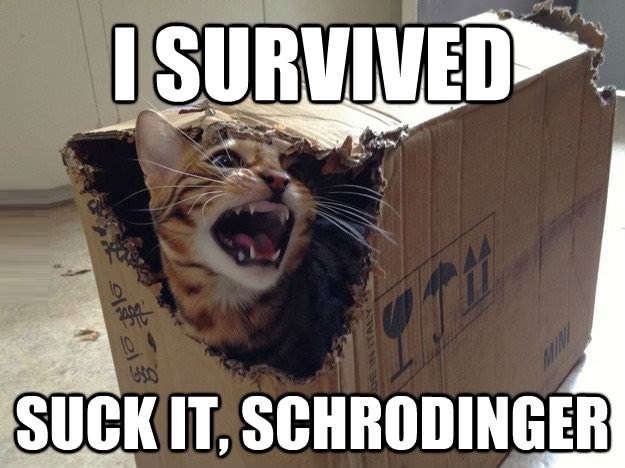 I survived!