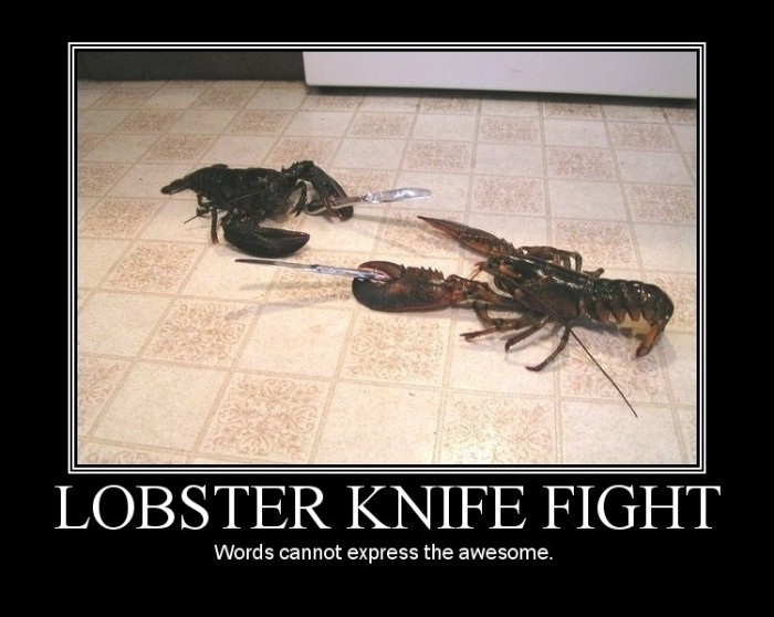 Lobster Knight Fight