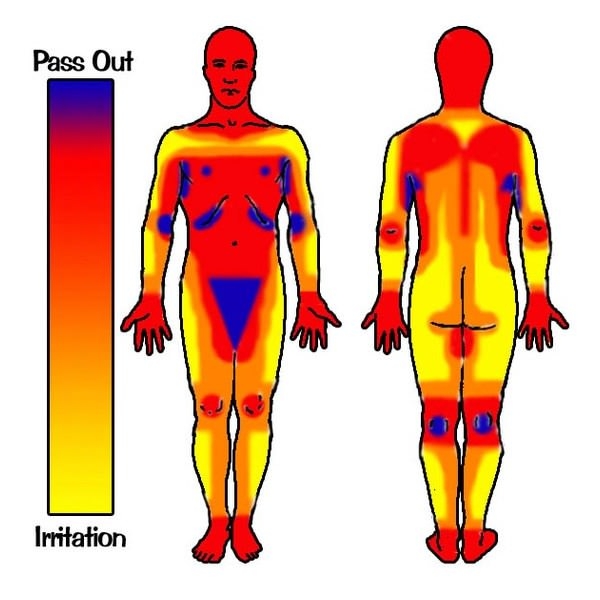 Tattoo pain levels