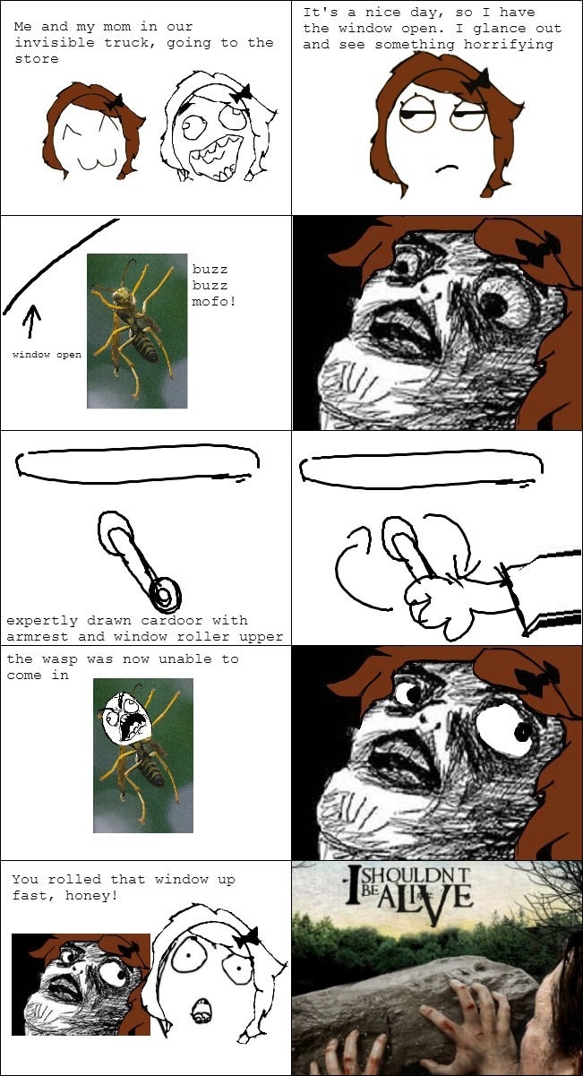 Wasps creep me out!