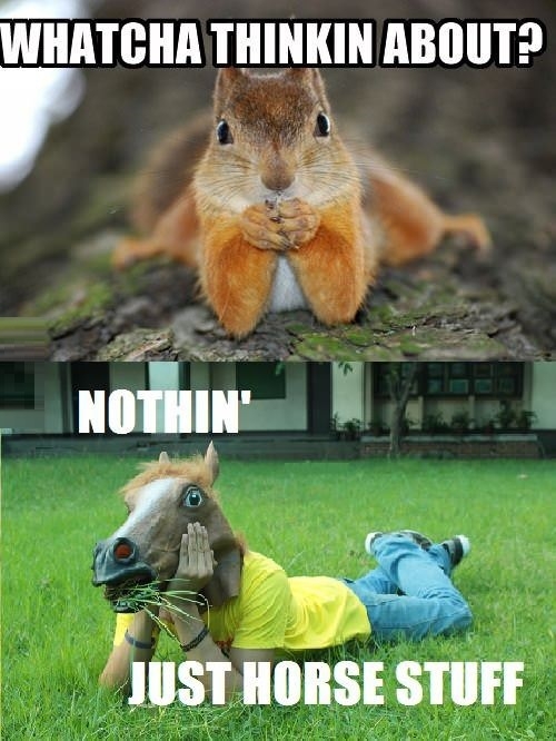 Watcha thinkin about?