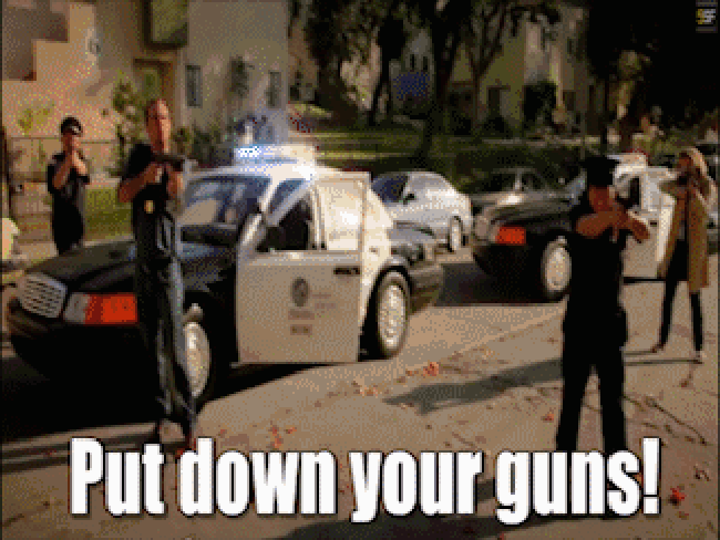 Police discretion