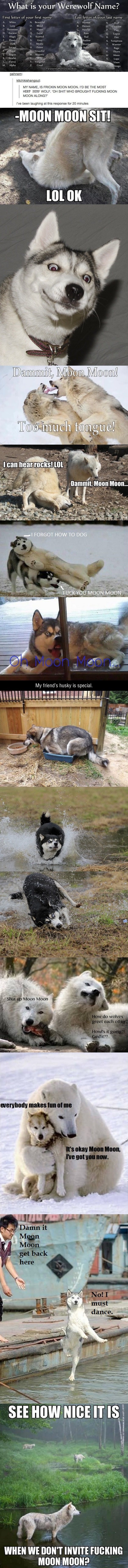 Dammit Moon-moon!