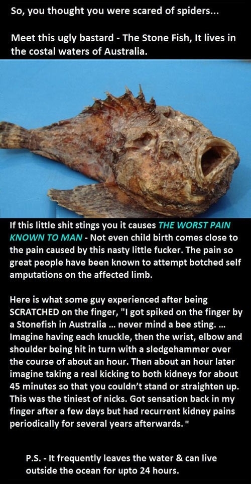 Welcome to Australia