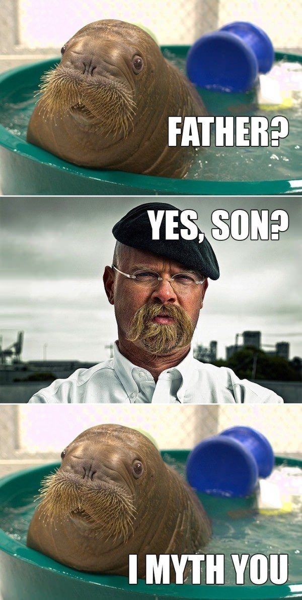 Like father like son