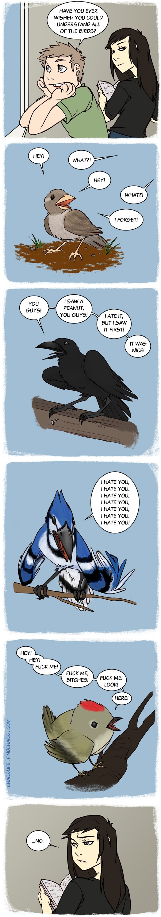 What birds say