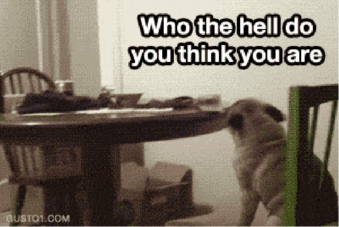 What did you say?!
