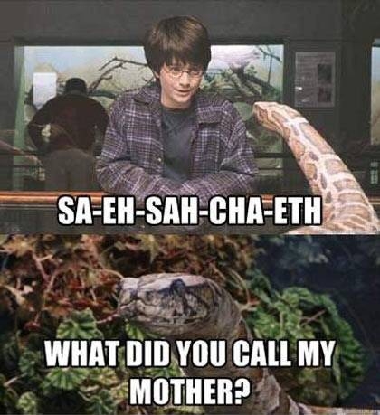 What Harry really said