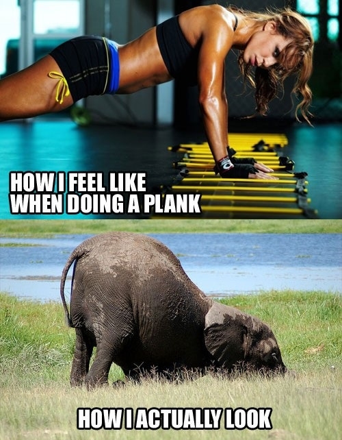 Doing a plank