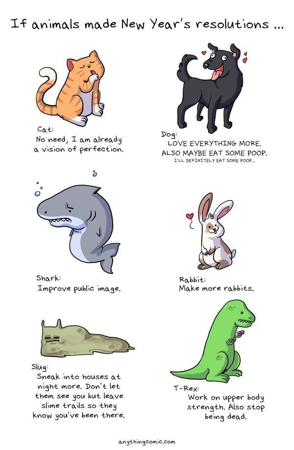 Animals' resolutions