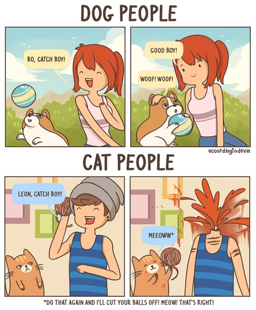 Dog & cat people