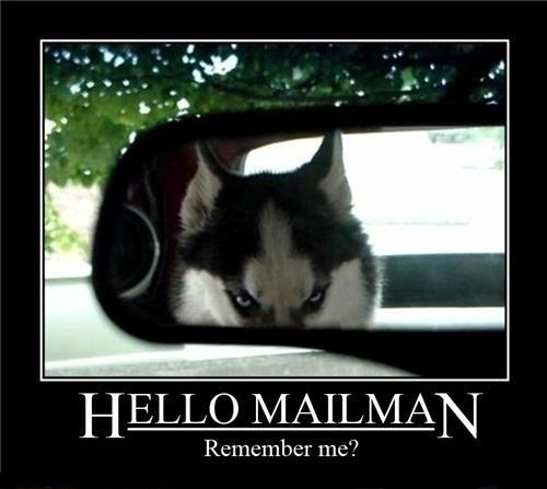 Remember me?