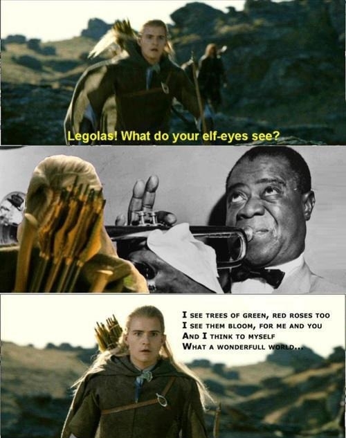 What your elf eyes see?