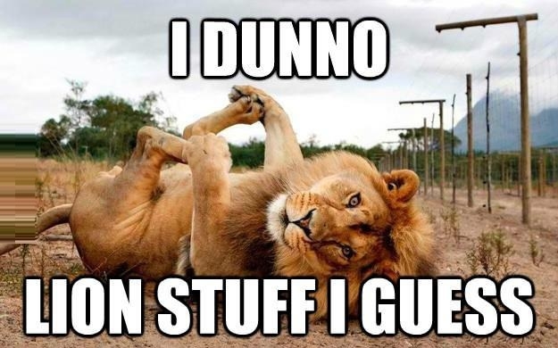 Whatcha thinkin' about?