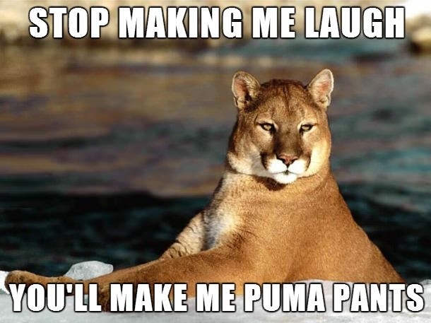 Bad Pun Puma