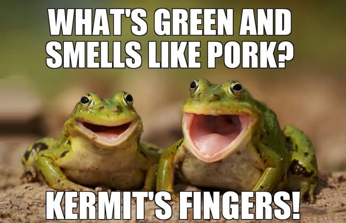 Two Happy Frogs