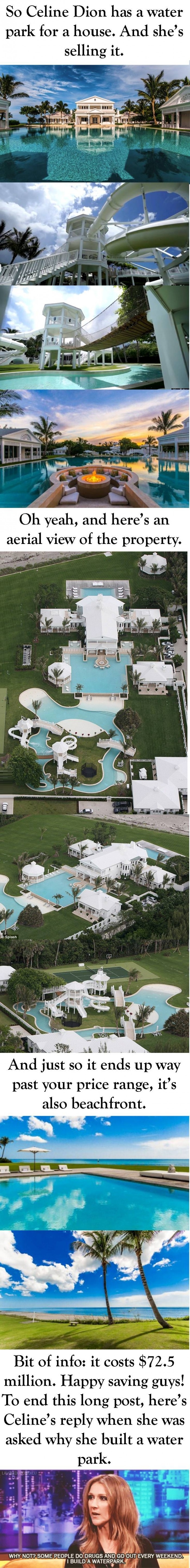 Celine Dion's water park