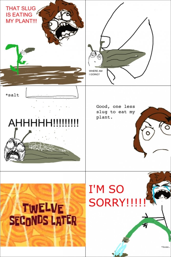 I didn't want to torture it