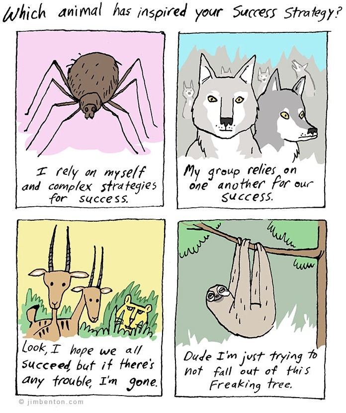 Animal inspiration
