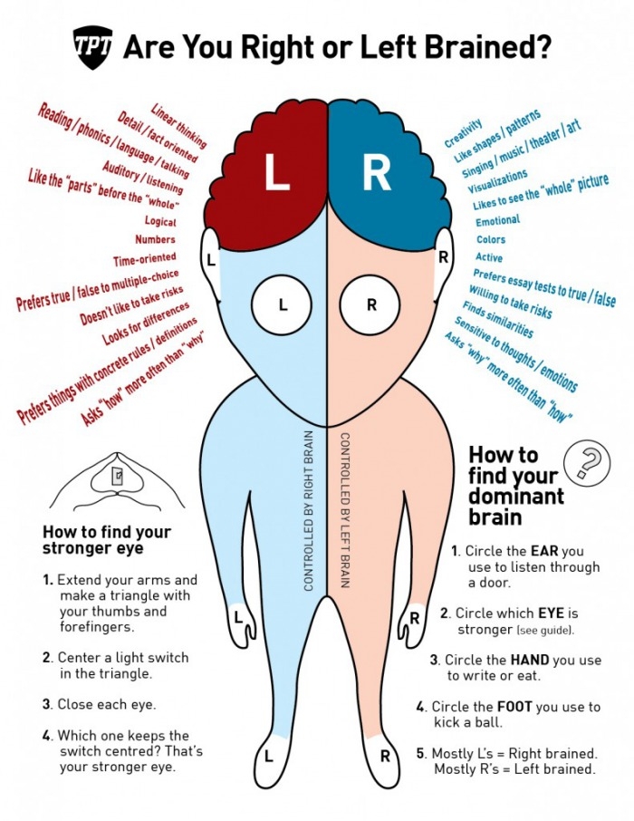 Right or left brained?