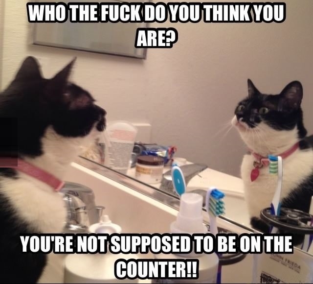 Who do you think you are?