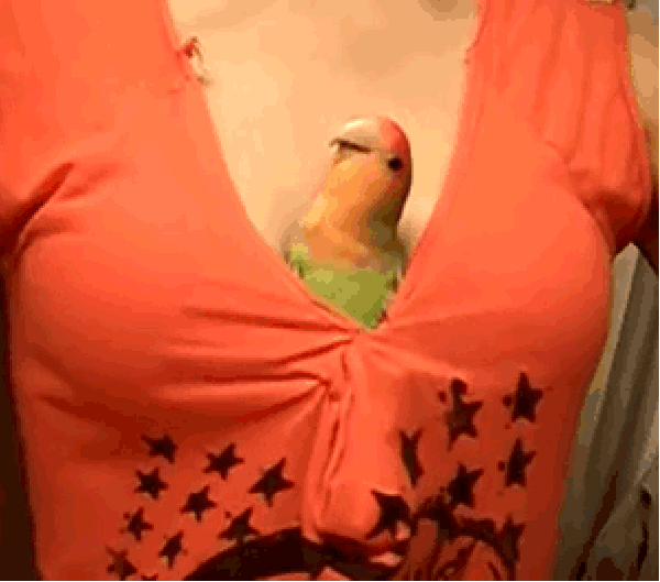 He looks so happy