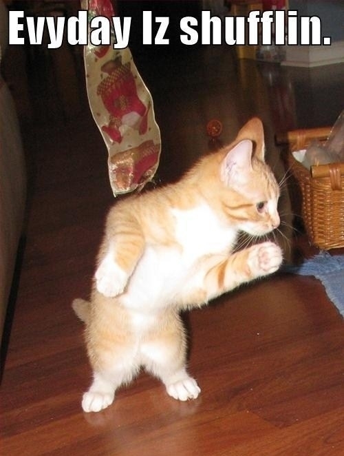 Everyday I'm Shufflin'