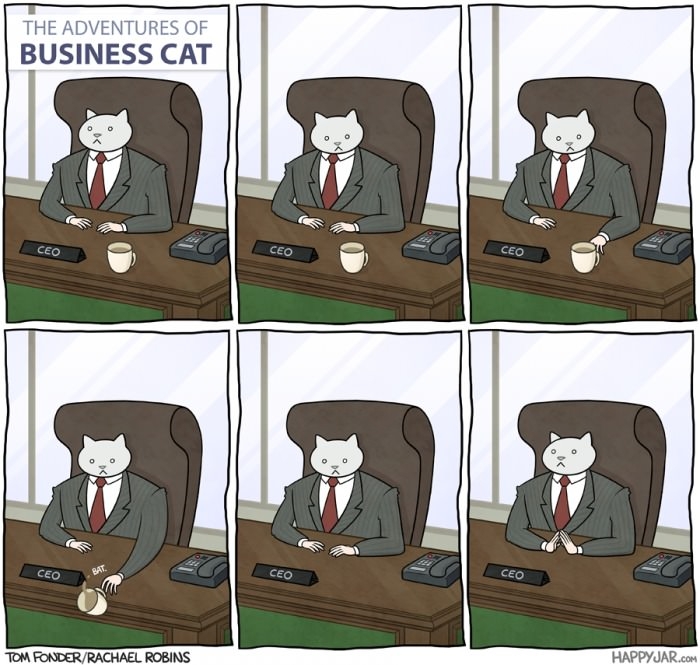 Business cat