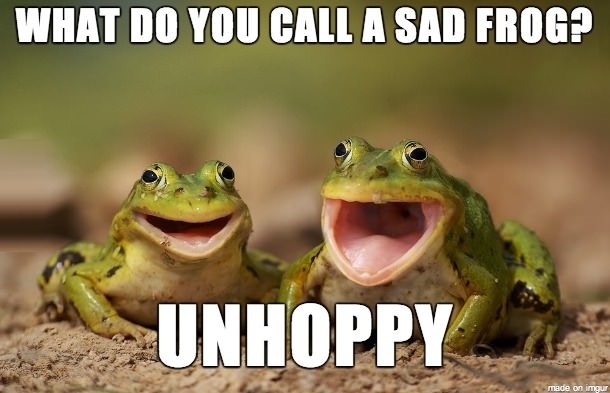 Laughing frogs