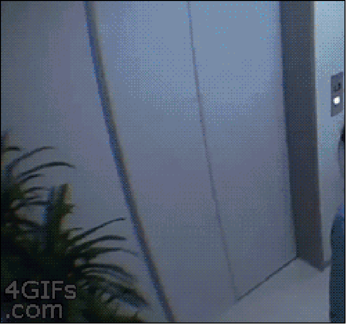 Japanese prank show