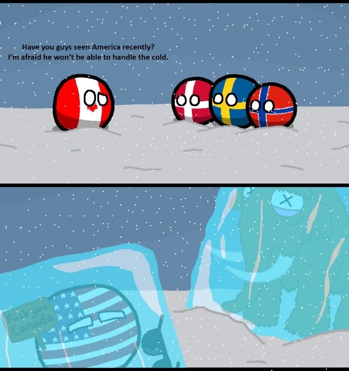 The Polar Vortex