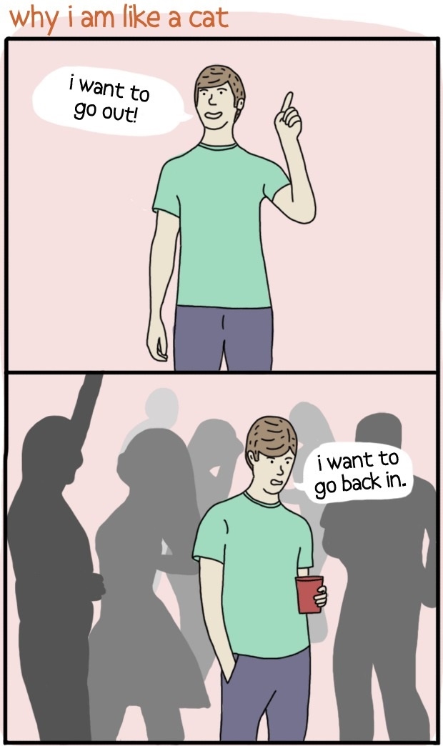 Why I am like a cat