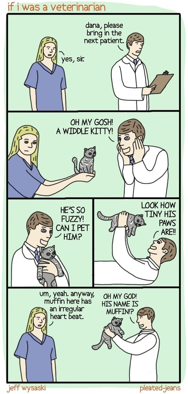 Why I couldn't be a Vet