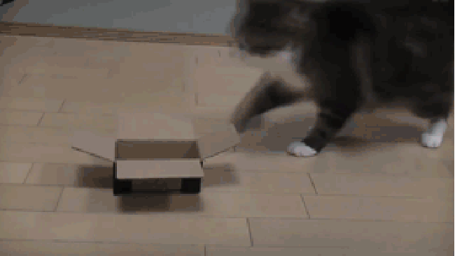 If I fits I..