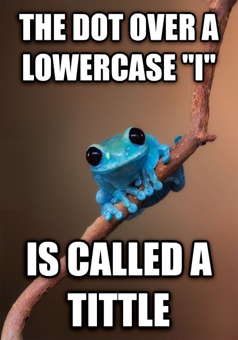 Tiny Fact Frog