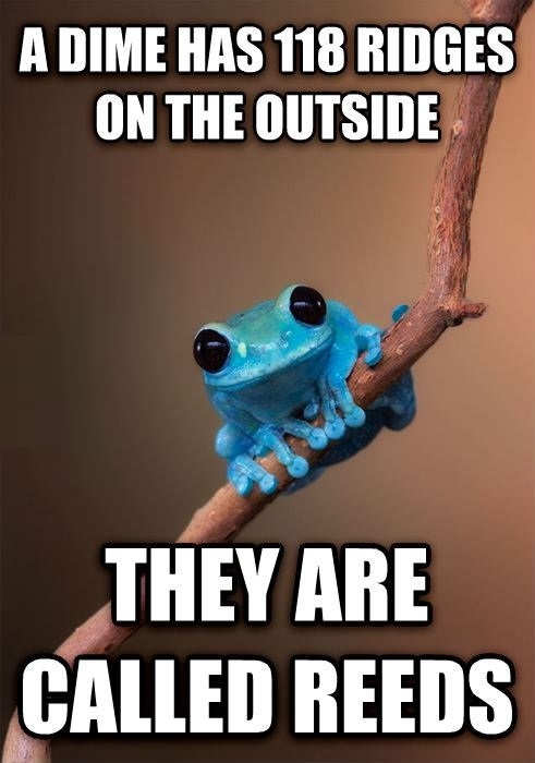 Tiny Fact Frog