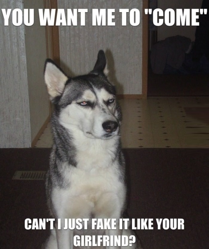 Dog is mean