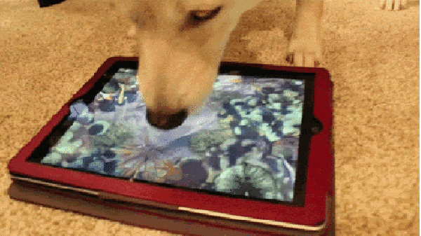 Dog trolling app