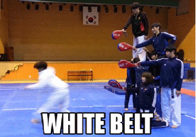 White belt to black belt