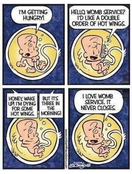 Womb service